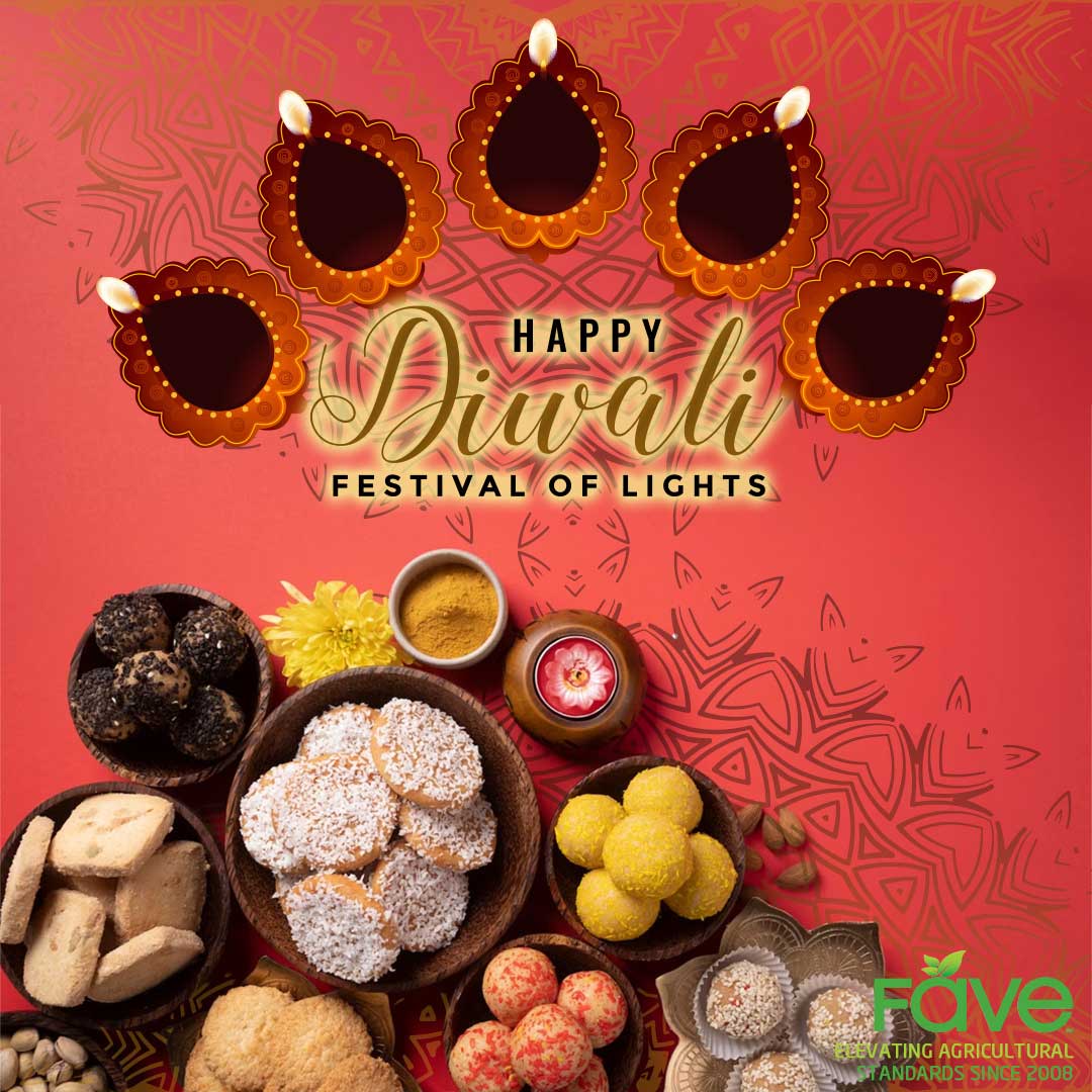 Diwali: A Worldwide Celebration of Light and Joy