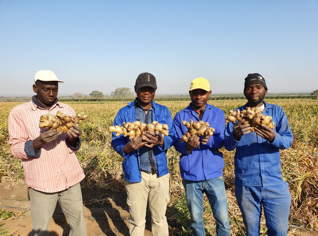 About Us Global Sourcing