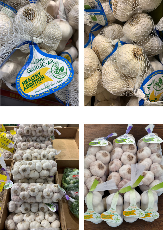 Turkish Garlic