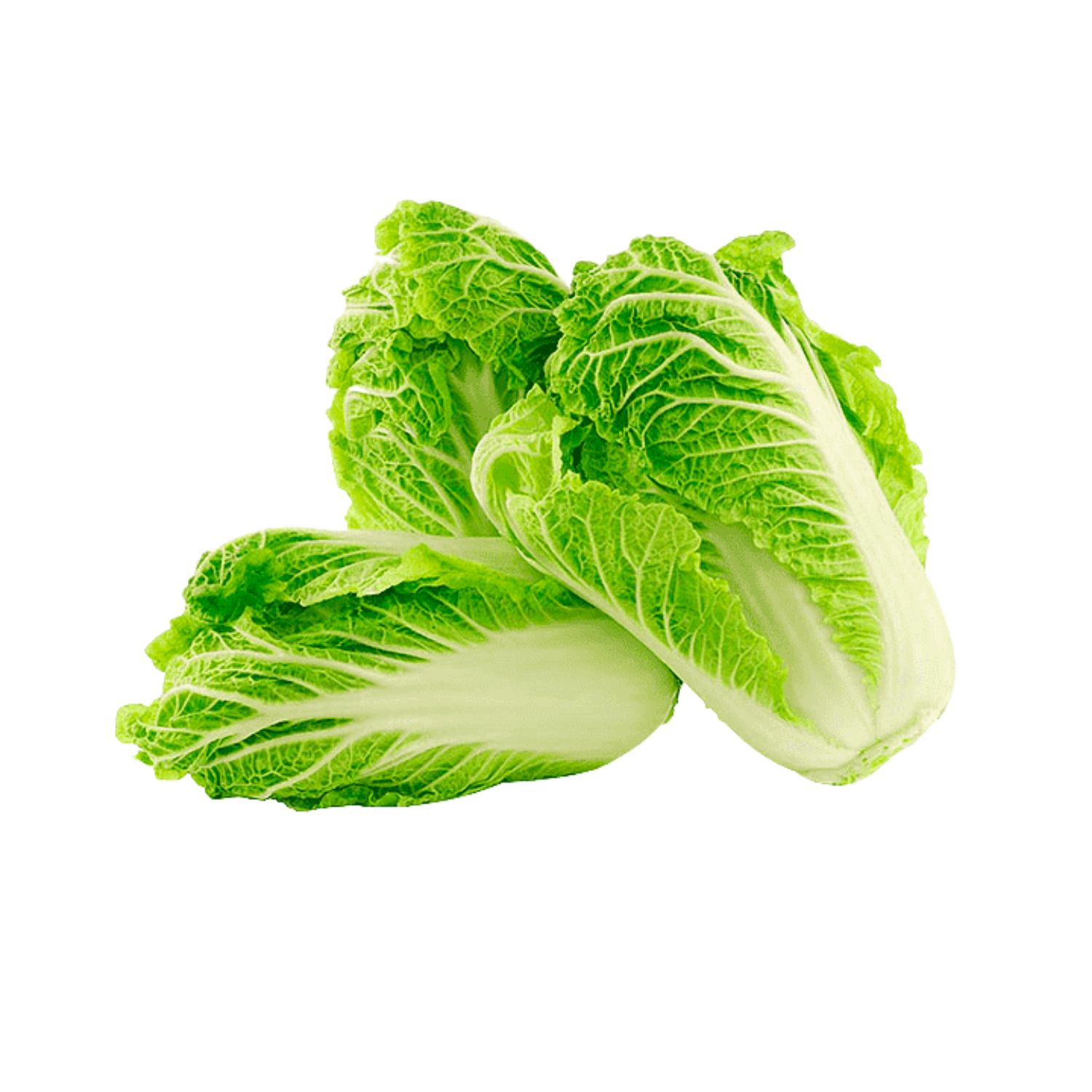 Napa Cabbage