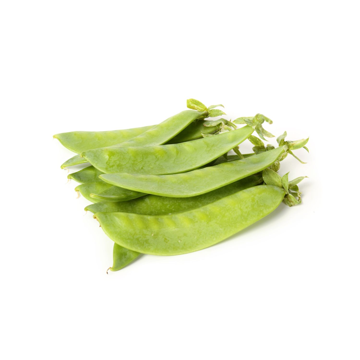 Snow Pea
