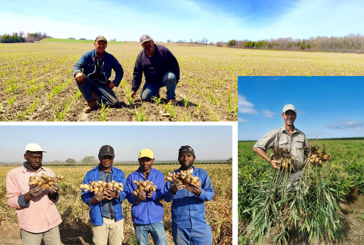 Work With Us - Farming