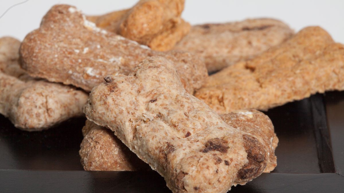 National Pet Day: Carrot and Ginger Dog Treats (Human-Friendly Too!)