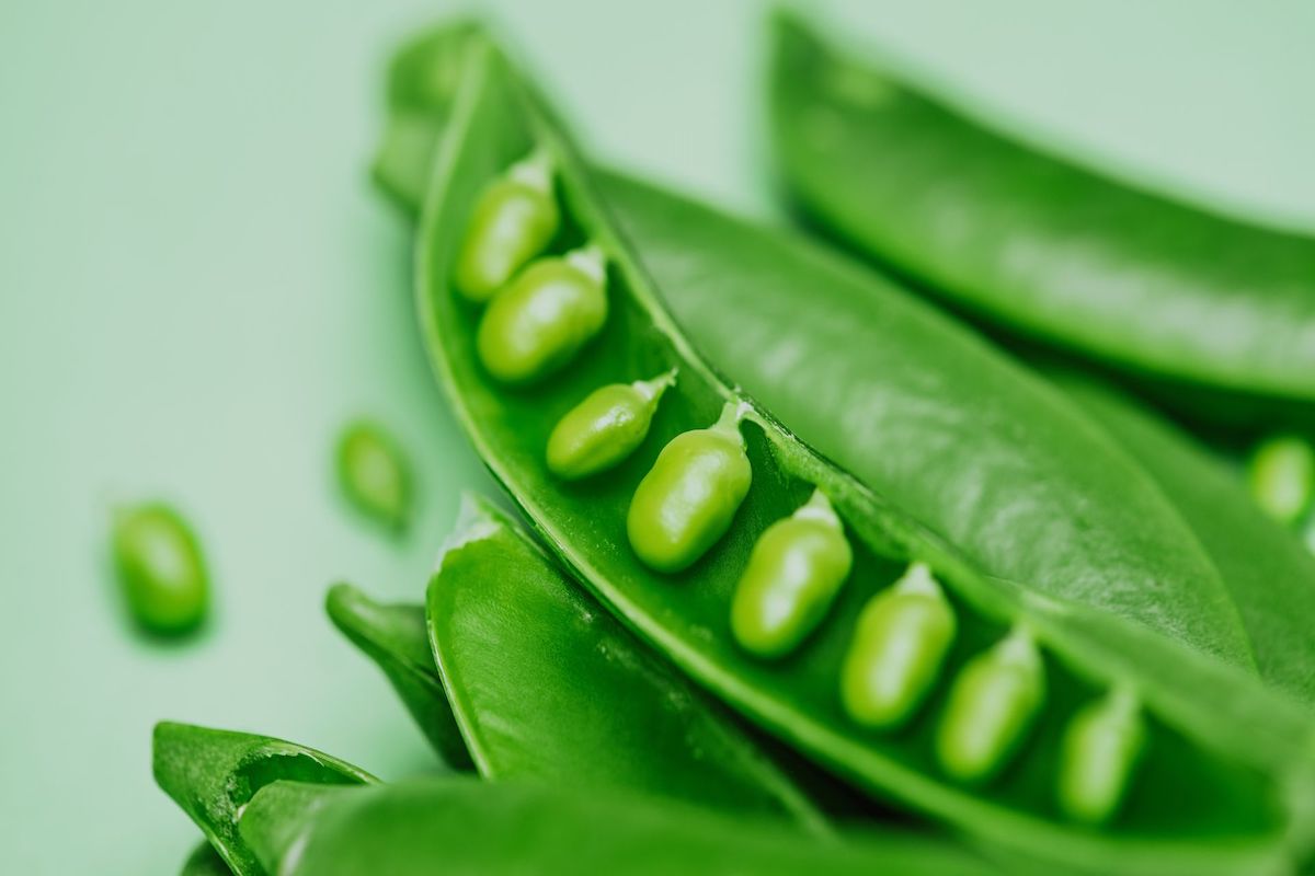 Sugar Snap Peas